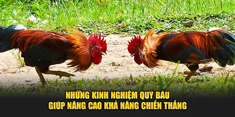 Những kinh nghiệm quý báu giúp nâng cao khả năng chiến thắng